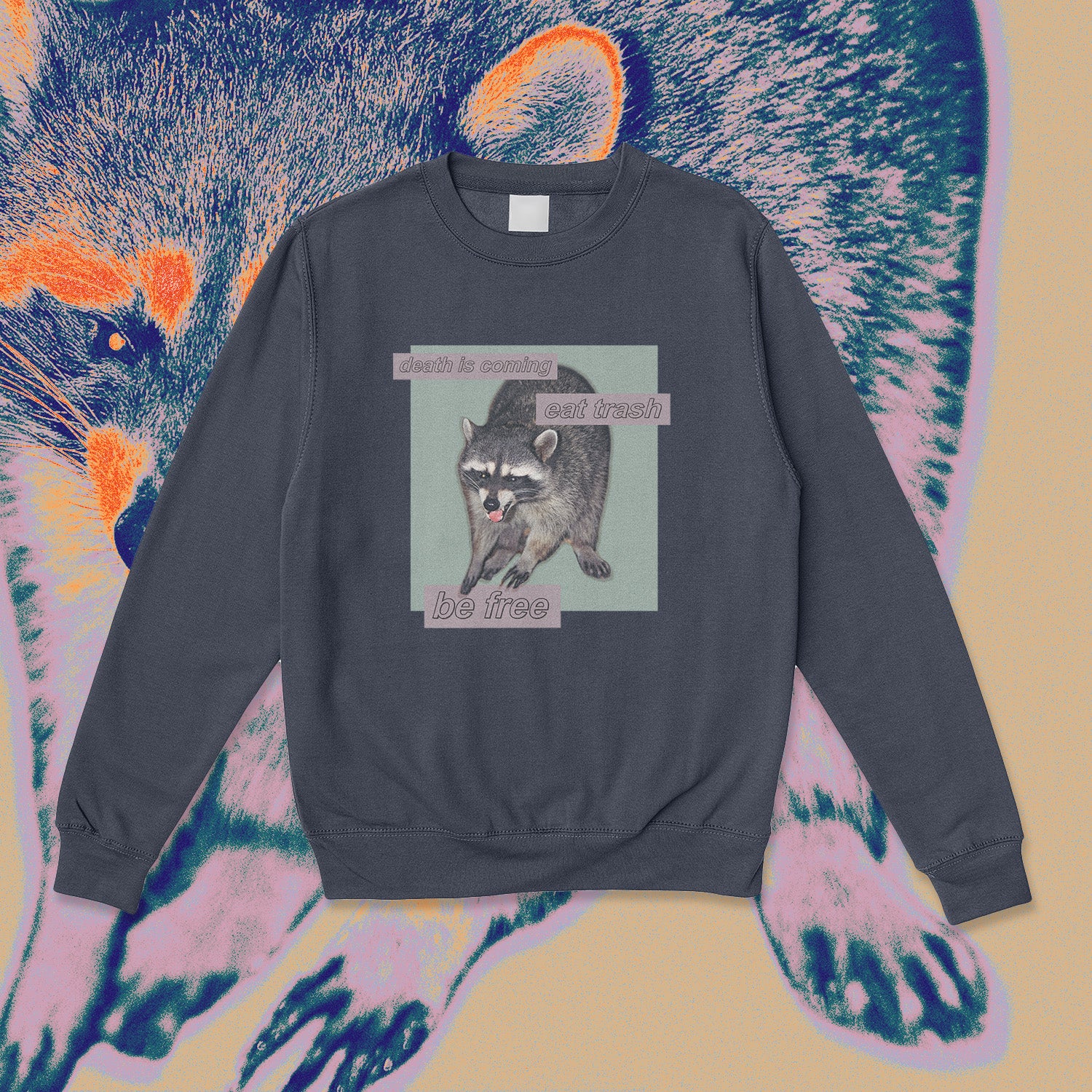 A sweatshirt.